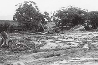写真：僧座川の被害状況