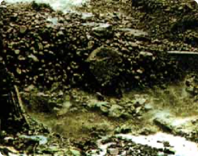 画像：土石流の様子